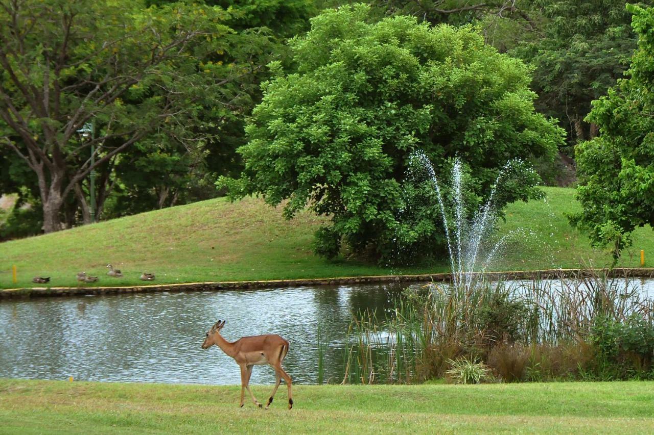 Kruger Park Lodge Unit No. 612 Hazyview Zewnętrze zdjęcie